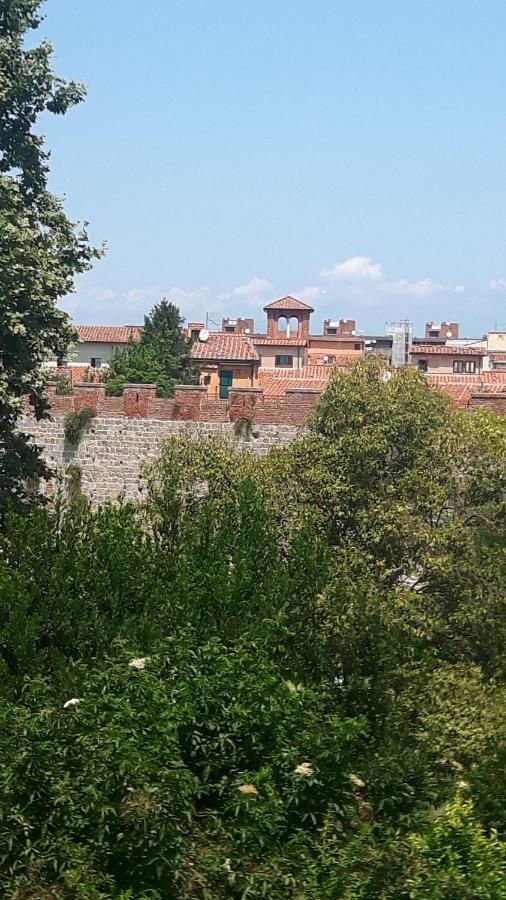 Ama Casa Apartment Pisa Bagian luar foto